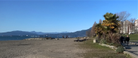 When all you have is a Toy Camera - A Nice Day in Vancouver is This Facing English Bay.png