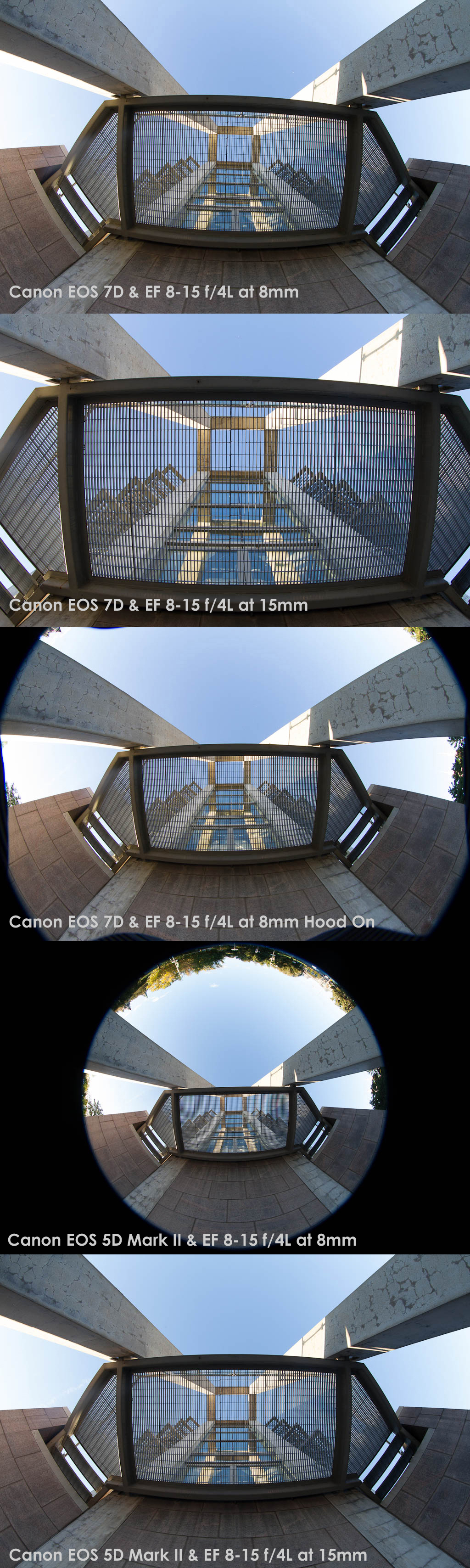 comparison8151 - Review - Canon EF 8-15 f/4L Fisheye