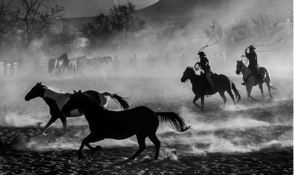 Photo Contest Winner Announcement CR Winner 575x343 - Photo Contest Winner Announcement