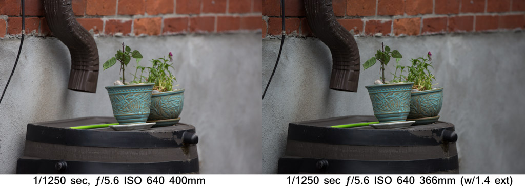 Light Loss - Review - Canon EF 200-400mm f/4L IS 1.4x