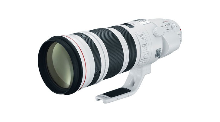 Ended: Canon EF 200-400mm f/4L IS 1.4x $7919