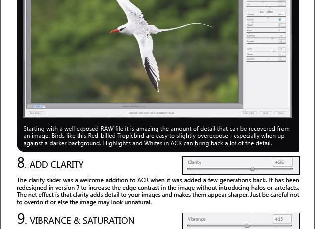 Post Processing: A Guide for Nature Photographers