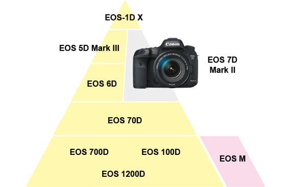 canonproducttree - EOS 6D Mark II to Move Upmarket? [CR1]