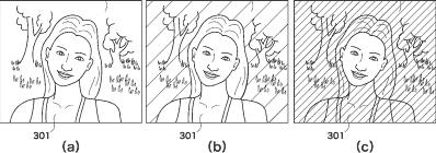 patentfocusingscreen - Patent: Variable Diffusion Focusing Screen