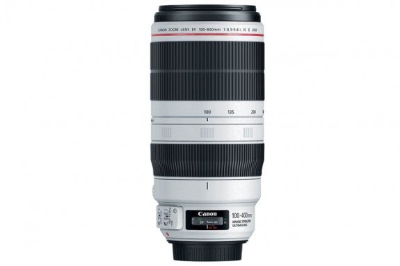 36341 3 xl 575x383 - Introducing the Canon EF 100-400 f/4.5-5.6L IS II