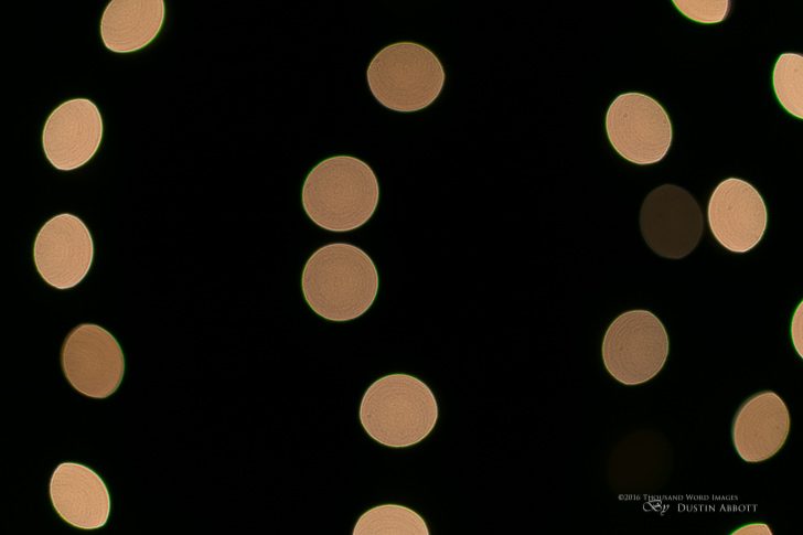 Bokeh Highlights 728x485 - Review - Canon EF-S 24mm f/2.8 STM