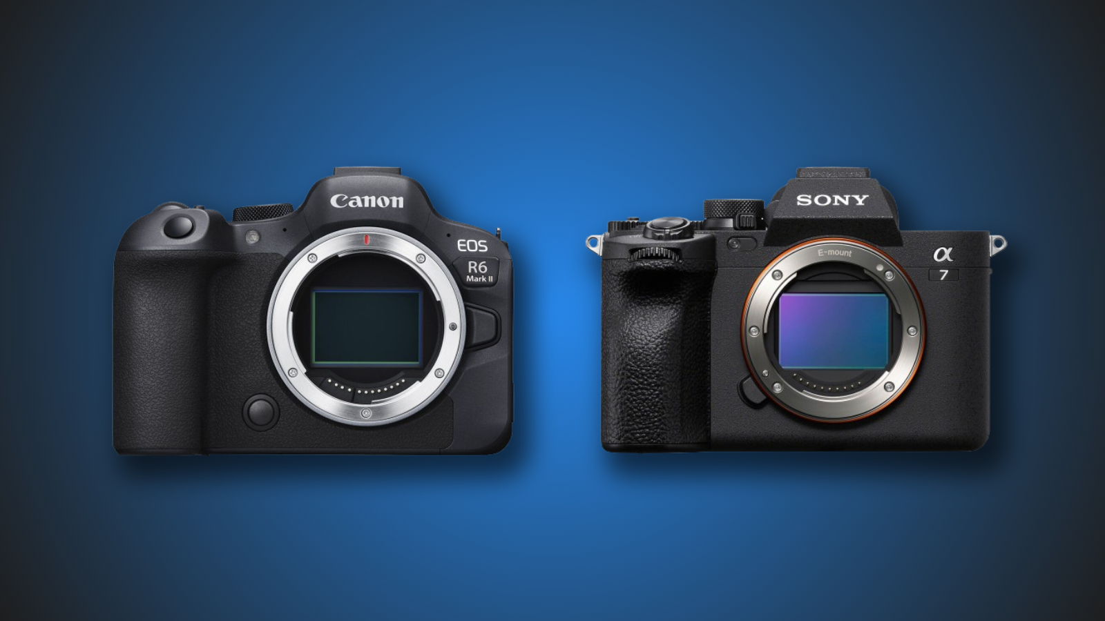 : canonrumors.com
