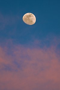 Super Moon.jpg