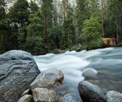 _MG_7955 as Smart Object-1.jpg