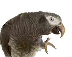 IMG_5487 - Version 2 (1).jpg