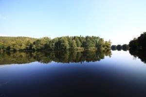 IMG_9500.JPG