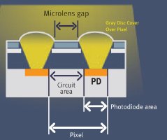 GrayReference Pixel.jpg
