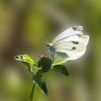 SEPT_2011_09 11 11_0020-raw-FB.jpg