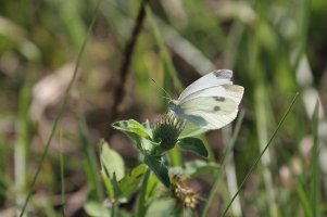 SEPT_2011_09 11 11_0020-un.jpg