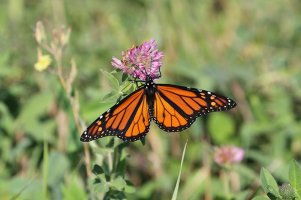 SEPT_2011_09 11 11_0033-un.jpg