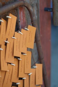 untitled shoot_110924_0705.jpg