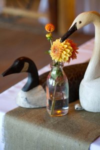 untitled shoot_110924_0682.jpg