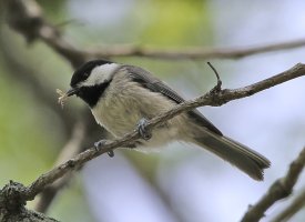 5D3_1394 ps3 fix picasa fix - Copy.jpg