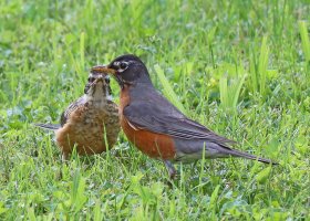 IMG_2675 PS3 fix - Copy.jpg