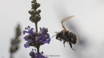 roooooollllling shutter.jpg roooooollllling shutter.jpg