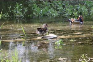 1x400_Screenshot 2023-05-30 at 10.09.12.png