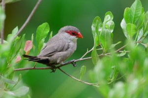 DSC_8577_DxO.jpg DSC_8577_DxO.jpg