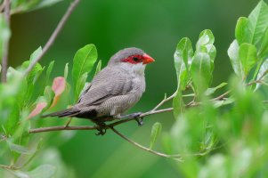 DSC_8580_DxO.jpg DSC_8580_DxO.jpg