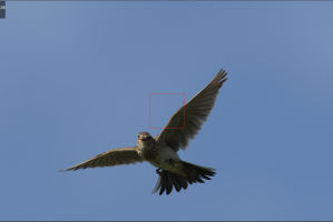 Bildschirmfoto 2023-06-04 um 13.55.19.png