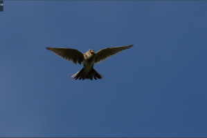 Bildschirmfoto 2023-06-04 um 13.56.47.png