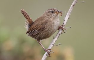 0DEA427A-51C2-4A2B-8E16-E6F8F0F8E441.jpeg 0DEA427A-51C2-4A2B-8E16-E6F8F0F8E441.jpeg