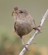 3BC789E4-28B5-4017-BA36-223C90E9289E.jpeg 3BC789E4-28B5-4017-BA36-223C90E9289E.jpeg