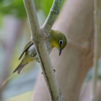 DSC_8749_DxO.jpg DSC_8749_DxO.jpg