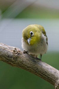 DSC_8758_DxO.jpg DSC_8758_DxO.jpg