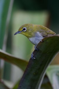 DSC_8791_DxO.jpg DSC_8791_DxO.jpg