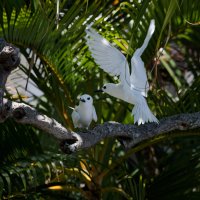 DSC_8822_DxO.jpg DSC_8822_DxO.jpg