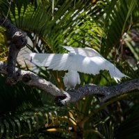 DSC_8823_DxO.jpg DSC_8823_DxO.jpg