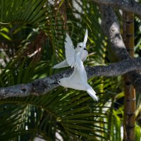 DSC_8826_DxO.jpg DSC_8826_DxO.jpg