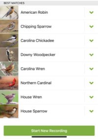 230612 cropbackyard bird sounds IMG_8158[12149].jpg