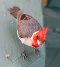 IMG_4414-SharpenAI-Focus - Copy.JPG