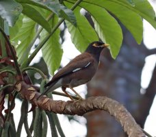 IMG_4506 ps3 fix-topaz-denoise-enhance-1.8x-sharpen - Copy.JPG