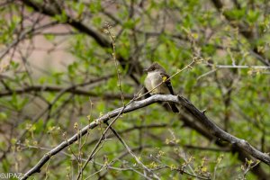 New Mexico May 2023-277-Enhanced-NR-Edit.jpg