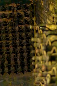 Test wine cellar enhanced (v small).jpg