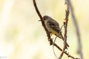 New Mexico May 2023-325-Enhanced-NR.jpg
