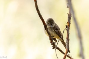 New Mexico May 2023-326.jpg