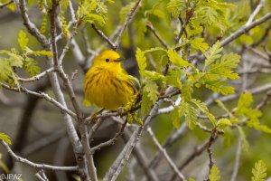 New Mexico May 2023-363-Edit.jpg