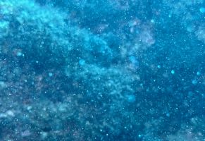 Screenshot 2023-07-18 at 9.27.24 AM.png