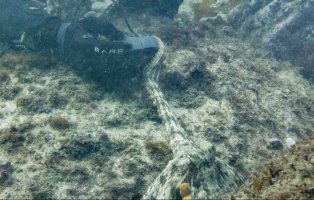 Screenshot 2023-07-24 at 9.00.17 am.jpg