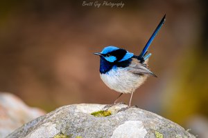 _40A4926-Enhanced-NR-Edit.jpg _40A4926-Enhanced-NR-Edit.jpg