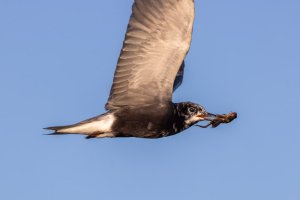 1V0A8272-Edit.jpg