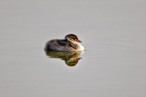 _66A1266 2_DxO-topaz-sharpen-topaz-sharpen.jpg